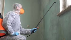 Best Forensic Mold Investigation  in Port Salerno, FL